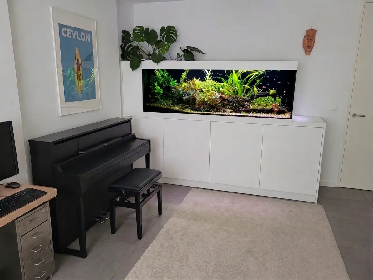 Het aquarium in de woonkamer, ingebouwd in een witte kast, met Monstera erboven